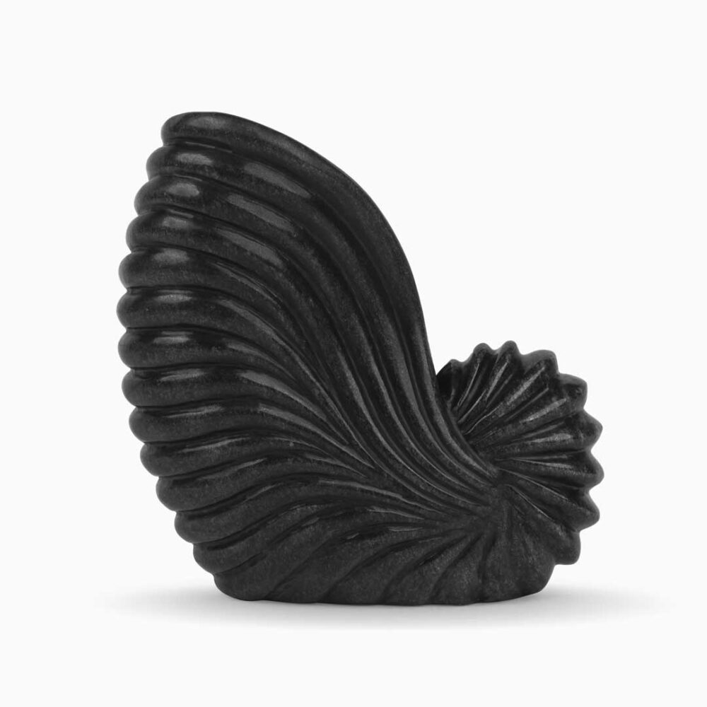 Marble Nautilus Shaped Urli - Black - Image 4